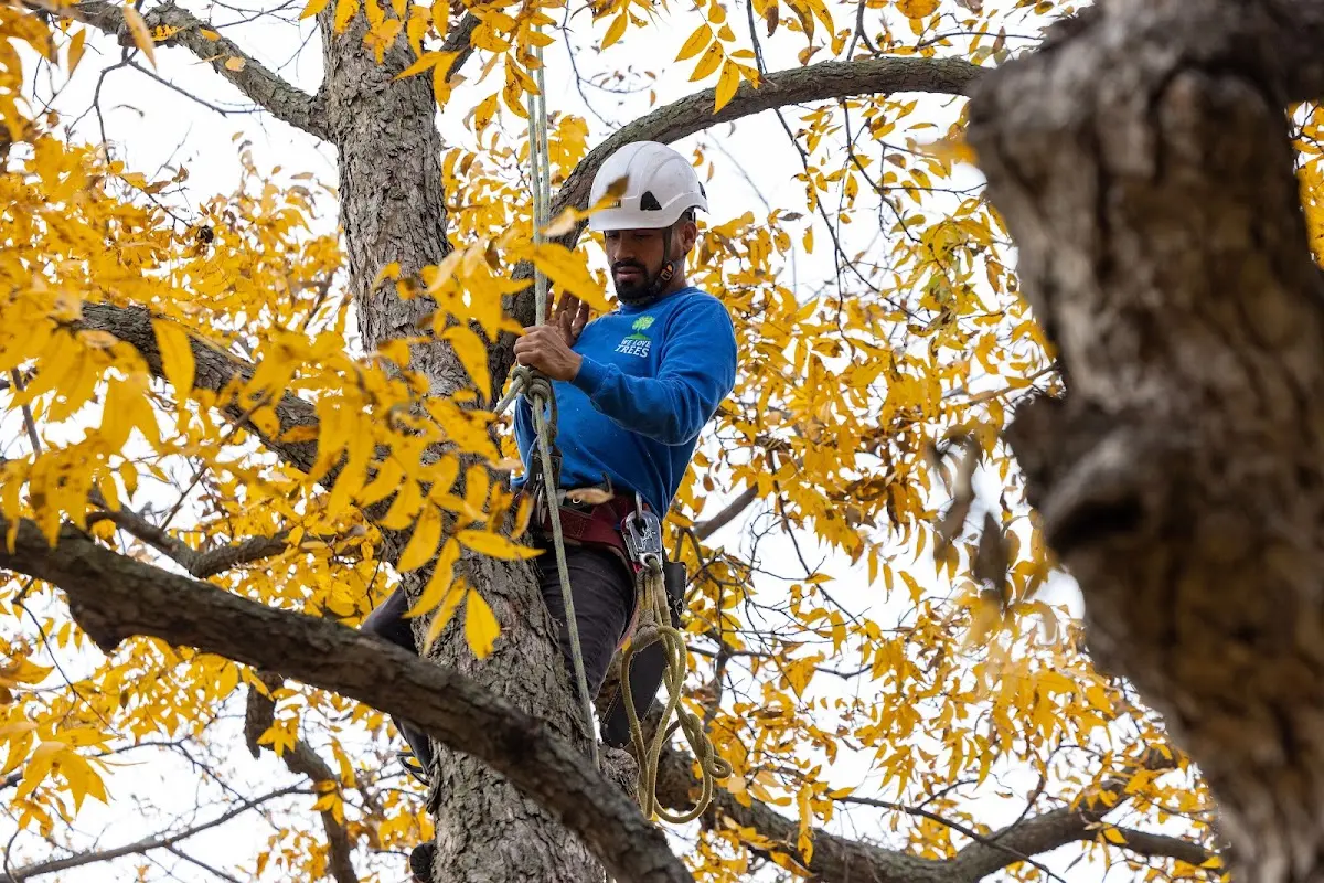 Skilled Storm Damage Cleanup crew working in Topping